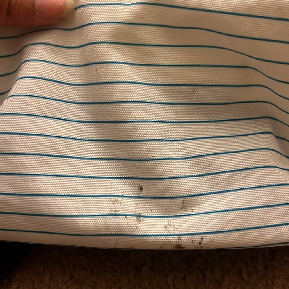 white with blue stripes Jansport backpack - Picture 3 of 8